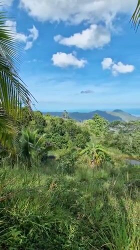 Sunny rural Ko Samui landscape documented in morning footage