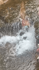 Snails, a small waterfall, and green plants in Ilorin