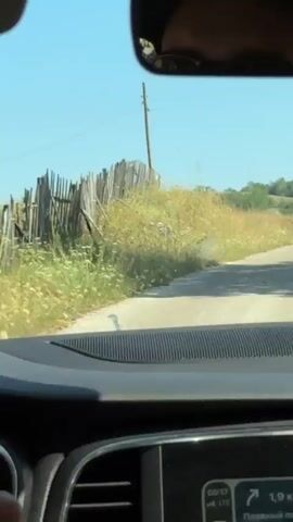 The video shows a first-person perspective from inside a car looking out the windshield. The road ahead is a light-colored, unpaved surface surrounded by dry, grassy hills. There are some scattered trees and rocks in the distance. A wooden fence and a utility pole are visible on the left side of the road. The dashboard of the car is partially visible in the foreground. The rearview mirror shows the reflection of a person wearing sunglasses. The sky is clear and blue, indicating a sunny day. The car appears to be moving along the road.