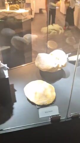 The video shows the interior of a museum exhibit. In the foreground, a display case with a glass front contains several loaves of bread of varying shapes and sizes. Some of the loaves are whole, while others appear to be broken or cut. Labels are visible in front of some of the bread items. In the background, through the glass, two people are visible. One is a man wearing a grey t-shirt and dark pants, and the other is a woman wearing a white top and dark skirt. They are looking at other exhibits in the museum. The environment appears to be well-lit with soft lighting. The overall impression is that of a cultural or historical exhibit focused on food, specifically bread.