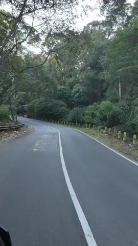 The video shows a road passing through a forest. The road is asphalt and has a white line down the middle. There are trees on both sides of the road, with dense foliage. Some of the trees are tall and appear to be old. There are yellow and white striped posts along the side of the road. The road is wet, indicating recent rain. A small section of the road surface is cracked. The sky is overcast. A black object, possibly part of a vehicle, is visible in the lower left corner of the frame. The video appears to be shot from a moving vehicle.
