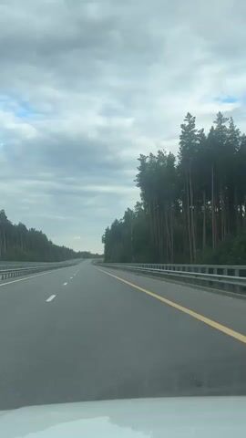 This is a POV shot from inside a vehicle traveling on a multi-lane highway. The road is paved and has clear lane markings, including dashed white lines and a solid yellow line along the right side of the camera's lane. A metal guardrail runs along the right edge of the highway.

The surrounding landscape is dominated by a dense forest of tall, slender pine and birch trees lining both sides of the road. The trees are lush and green, suggesting a temperate climate, possibly during spring or summer. The sky is overcast with heavy, gray clouds, indicating a cloudy or possibly rainy day.

The highway appears to be in a rural or semi-rural area, given the extensive forestation. The overall mood conveyed is one of travel and forward motion through a natural, wooded environment. There is no visible text in the media file. The time of day is likely daytime, but the overcast sky obscures direct sunlight.