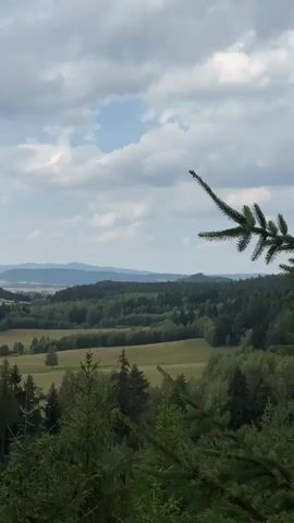 A panoramic view of a rural landscape unfolds under a cloudy sky. In the foreground, the tops of dark green evergreen trees partially obscure the view. Beyond them, rolling hills covered in dense forests stretch into the distance. Patches of lighter green fields are interspersed with the trees, suggesting agricultural activity. Further back, layers of bluish-gray mountains fade into the horizon. The sky is a mixture of white and gray clouds, with hints of blue peeking through. The overall impression is one of a serene and vast natural environment.
