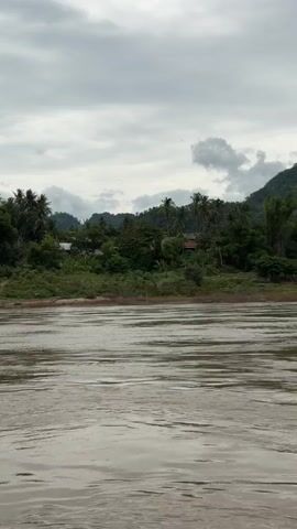 The video shows a wide, murky river in the foreground. The riverbanks are covered in dense green vegetation, including trees and palm trees. In the background, there are hills and mountains, partially obscured by clouds. The sky is overcast with gray clouds. Small buildings are visible nestled within the trees on the riverbank, suggesting a rural or village setting. The water appears to be flowing.