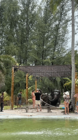 Elephants bathed and sheltered at a Ban Tha Nun sanctuary