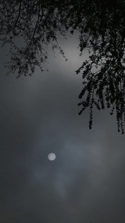 Bright celestial object recorded moving across hazy sky in Lincolnshire
