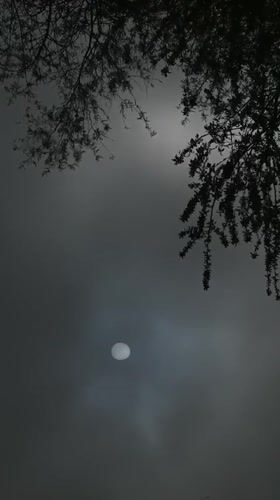 Bright celestial object recorded moving across hazy sky in Lincolnshire