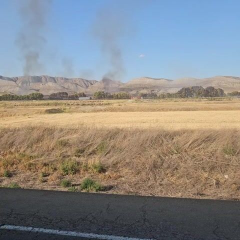 The video shows a wide shot of a rural landscape with dry, golden fields in the foreground and mid-ground. In the background, there are rolling, arid hills under a clear blue sky. There is a line of trees running horizontally across the middle ground, separating the fields from the hills. Above and behind the trees, plumes of dark smoke rise into the sky, indicating a fire. Two large trucks, one white and one red, are visible on a road or pathway behind the trees, near where the smoke originates. The foreground also shows a rough, dry embankment with some green shrubbery. The camera appears to be stationary, capturing the scene from a slightly elevated perspective. The overall impression is one of a dry, agricultural area with evidence of an ongoing fire.