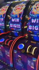 Families enjoy afternoon arcade gaming session in Kudrovo, Russia