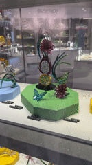 Crystal figurine display case spotted in Sofia store