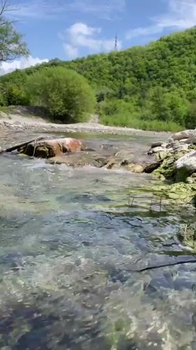 Morning documentation of rural Russian village life and nature