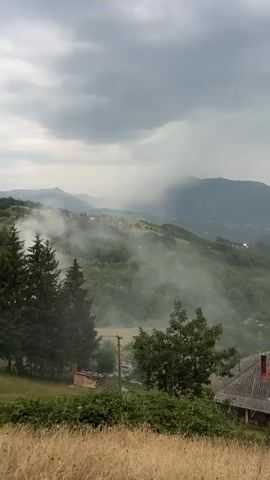 This is a vertical, medium-shot video of a misty, mountainous landscape in Mekića Kula, Montenegro. The scene is set under a cloudy, overcast sky, suggesting it may be early morning, late afternoon, or simply a gloomy day.

In the foreground, dry, golden grasses fill the bottom of the frame. Behind this, a dense line of green bushes and trees creates a natural border. To the left, two tall evergreen trees stand prominently. To the right, the roof of a rustic, grey building with a red-tiled section is visible. Further into the middle ground, a small, tan-colored structure, possibly a shed or a small house, is nestled amongst the greenery. A lone utility pole with wires is also present.

The middle ground and background are dominated by rolling, tree-covered hills. A significant amount of white smoke or mist is rising from the valley and upper slopes, obscuring parts of the landscape and creating a hazy atmosphere. This mist is particularly thick in the mid-left and drifts towards the center. In the far distance, multiple layers of mountains fade into the atmospheric haze, with a discernible rain shower appearing as a dark, misty curtain falling on the furthest peaks. The overall impression is one of a quiet, somewhat dramatic rural setting, possibly experiencing a change in weather with the approaching rain and the rising smoke. There is no visible text within the frame.