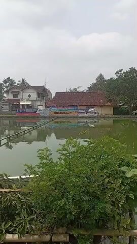 The video shows a fishing pond with several people fishing. There are buildings in the background and trees surrounding the pond. The water is green and there are some boats on the pond. The weather appears to be overcast.