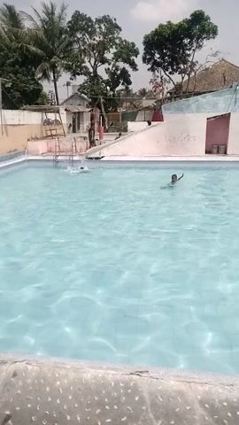 A swimming pool with clear blue water is shown. There are at least three people in the pool, two of whom are children. One child is swimming near the surface, another is near the ladder, and a third is in the distance. The pool is surrounded by a concrete deck with a textured pattern. Beyond the pool, there is a building with a tiled roof and several trees, including a palm tree. The sky is cloudy. The camera angle is high and tilted, giving a vertical perspective of the scene.