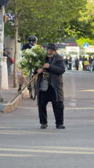 Elderly man holds white flowers on Tbilisi street