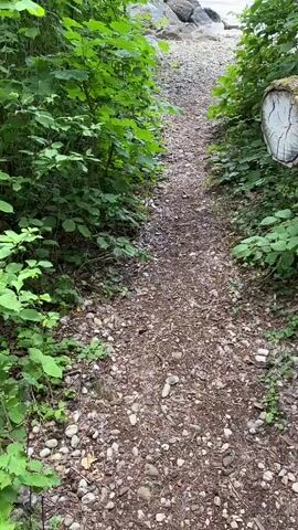 The video shows a narrow path covered with pebbles and wood chips leading towards a rocky beach and a body of water. Lush green vegetation lines both sides of the path, creating a tunnel-like effect. As the camera moves forward, the water and shoreline become more visible. In the later part of the video, a person wearing light-colored clothing and a hat walks into view on the beach. The overall environment suggests a natural, possibly lakeside or coastal, setting.
