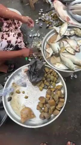 Here's a detailed description of the video:

The video shows an outdoor fish market scene with a person cleaning fish and preparing shellfish. The person, wearing a patterned dress and sandals, is sitting on a low stool and using a knife to scale and gut a fish. Around them are several large metal trays containing different types of seafood. One tray holds a pile of small, silvery fish, another contains larger fish, and a third tray contains shelled clams. A black plastic bag also sits on the tray. Scattered around the person are discarded fish scales and empty clam shells. The ground is concrete, and the setting appears to be a bustling marketplace. The camera angle is from slightly above, looking down at the scene.