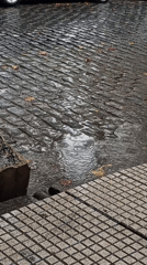 Rain creates puddles on Buenos Aires cobblestone street