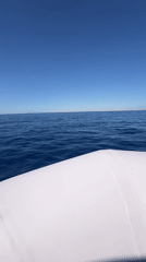Boat trip across the Red Sea off Sharm El Sheikh