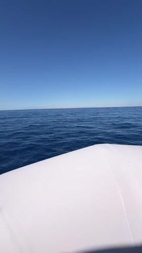 Boat trip across the Red Sea off Sharm El Sheikh
