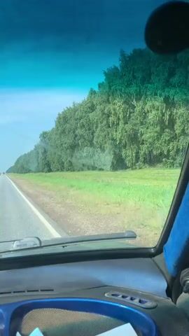 The video shows a view from inside a vehicle, looking out through the windshield. The vehicle is traveling on a paved road, with a lush green field and a dense line of trees bordering the right side of the road. The sky is blue with some clouds. In the foreground, the dashboard of the vehicle is visible, with a blue compartment containing some papers and other small items. The overall scene depicts a journey through a rural or natural landscape on a clear day.