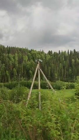 The video shows a green field with a forest in the background under a cloudy sky. There are several wooden utility poles in the field. The video appears to be taken from a moving vehicle.