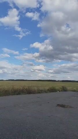 A low-angle, handheld video pans across a rural landscape under a partially cloudy blue sky. The foreground shows a patch of dry grass and a paved surface, likely a road. In the midground, a wide, flat field stretches to the horizon, its surface a mix of green and golden-brown vegetation. A dark, thin line of trees marks the distant horizon. Power lines are visible strung across the sky. The camera movement is smooth and steady.
