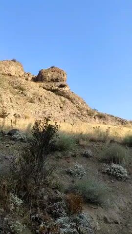 A video taken from a low angle shows a rocky, sun-drenched hillside. The sky is a clear, bright blue. In the foreground, dry grasses and low-lying, grayish-green shrubs are scattered across the uneven terrain. Further up the slope, there is denser vegetation and larger rocks. At the crest of the hill, a prominent, weathered rock formation stands out against the sky. The sun casts long shadows, indicating it is either early morning or late afternoon. The scene appears to be a natural, undeveloped landscape, possibly a desert or arid mountainous region.