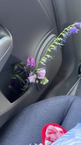 The video shows a car interior with a bouquet of wildflowers tucked into the door compartment. The flowers include purple, pink, and white varieties, and a long stalk of blue flowers extends out. The camera pans up and out the window, revealing a dense forest passing by at speed, suggesting the car is moving.  The sky is bright blue. The lower part of the interior shows part of a seated person wearing blue pants and a red and white patterned slipper or sock.
