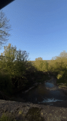 Vehicle captures river view in wooded Veselinovo area