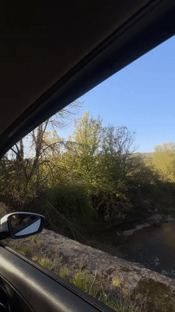 Vehicle captures river view in wooded Veselinovo area
