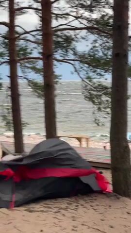 A group of people are setting up camp on a sandy beach near a body of water. There are several tents pitched, and people are moving around the campsite, handling camping gear. The weather appears to be overcast, and there is a breeze that is causing some of the fabric to flap. In the background, the water is choppy, indicating wind. One person is seen folding a large piece of grey fabric, possibly a tent fly. Another person is standing near a tent, holding something and looking towards the water. Further in the distance, a few people are gathered together. A dog is also visible among the group. The overall scene depicts a typical camping activity.
