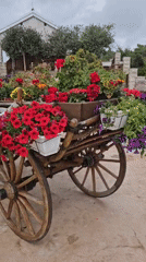 Flower-decorated wooden cart spotted in Zagora, Montenegro
