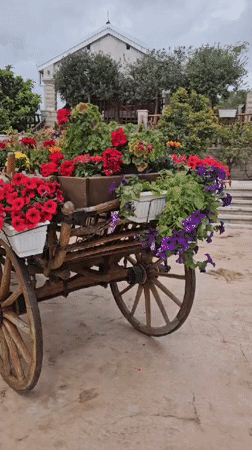 Flower-decorated wooden cart spotted in Zagora, Montenegro
