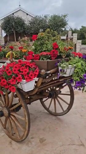 Flower-decorated wooden cart spotted in Zagora, Montenegro