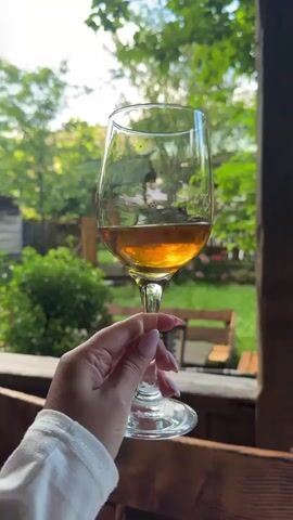 A hand holds a wine glass filled with amber liquid, tilted to catch the light, in front of a blurred background of greenery and wooden structures. The scene appears to be outdoors, possibly on a patio or porch, with sunlight filtering through the leaves. The liquid in the glass moves slightly as the glass is held.