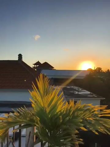 The video shows a sunset view from what appears to be a rooftop in a tropical location. In the foreground is a small palm tree, its fronds catching the golden light. Behind it, there are roofs of houses, with one having a distinct Balinese-style pagoda-like structure. The sun is setting directly in the center of the frame, obscured slightly by trees and a bridge-like structure, casting a bright glow across the sky. The sky is a mix of blue and orange hues, typical of a sunset. Power lines are visible crossing the scene, and the rest of the area is filled with lush, green trees.