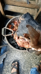 Animal head observed cooking over coals in Nairobi