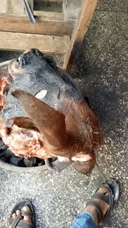 Animal head observed cooking over coals in Nairobi
