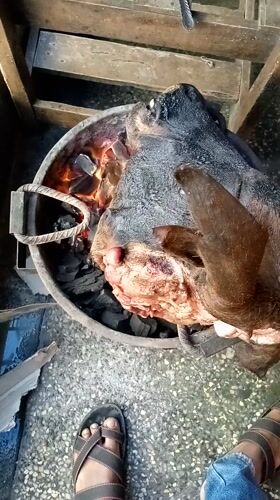 Animal head observed cooking over coals in Nairobi