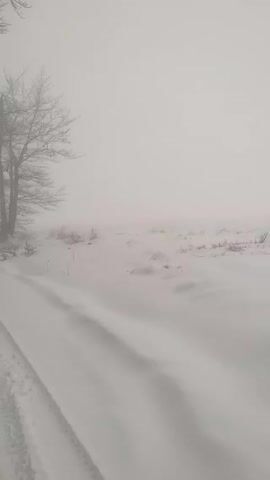 The video shows a snow-covered road leading through a foggy, wintery landscape. Bare trees line both sides of the road, their branches and trunks stark against the white background of snow and fog. The road is covered in a thick layer of snow, marked with tire tracks that disappear into the distance. Visibility is significantly reduced by the heavy fog, which obscures the landscape and creates a sense of desolation.