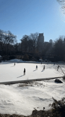 Sunny afternoon scenes captured across Central Park