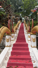 Ornate dragon-adorned temple staircase documented on Koh Phangan island