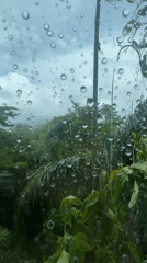 Strong winds and rain hit Wichit during a passing storm