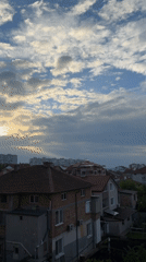 Morning residential neighborhood observed under cloudy skies