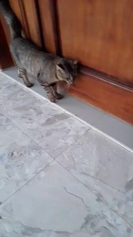 A tabby cat walks along a wooden door frame and a tiled floor. The cat is walking from left to right in the frame, facing the camera. The cat has a long tail that is held up. The cat's fur is striped and mottled brown and grey. The door frame is made of polished wood and has a horizontal panel. The floor is made of large, grey and white marbled tiles. The lighting suggests it is daytime.