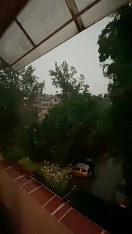 The video shows a view from a balcony during a rainstorm. A translucent roof is visible overhead. Trees line the view, obscuring buildings in the background. A small orange car with its trunk open is parked on a wet surface below. White flowers are planted in a red-rimmed planter on the balcony. Rain streaks are visible in the air, particularly in the center of the frame. The overall lighting is dim, suggesting overcast conditions.