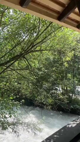The video pans across a wooden covered bridge. Outside the bridge, a fast-flowing river is visible, with lush green trees and foliage on the banks. Further in the distance, a mountain range with trees and a clear blue sky with clouds can be seen. The bridge itself has a wooden walkway and a wooden roof structure with exposed beams.