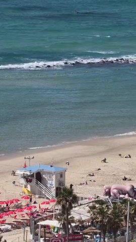 A sun-drenched beach scene unfolds, captured from a high vantage point. The turquoise-blue sea, with gentle waves breaking near the shore, meets a wide expanse of light-colored sand. In the distance, a line of rocks and a buoy string are visible in the water.

On the beach, a white and light-blue lifeguard station stands prominently, featuring stairs leading up to its main level and a yellow slide on one side. Below, a vibrant array of red beach umbrellas and sun loungers covers a significant portion of the sand. Several people are scattered across the beach, some relaxing on the loungers under the umbrellas, while others are walking or standing closer to the water. Palm trees punctuate the scene towards the foreground, framing the lower edge of the view. Partially visible in the lower right is a large, pink inflatable object, resembling an animal. Another building with a grey roof is partly seen in the lower left. Text "LIFE GUARD" is visible on the station, and "KES IT HAPP" on a sign near the palm trees, possibly part of "MAKES IT HAPPIER." The overall atmosphere is one of leisure and relaxation on a clear, sunny day.