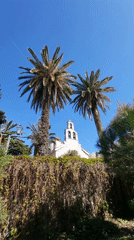 Everyday life unfolds across Budva's waterfront and old town